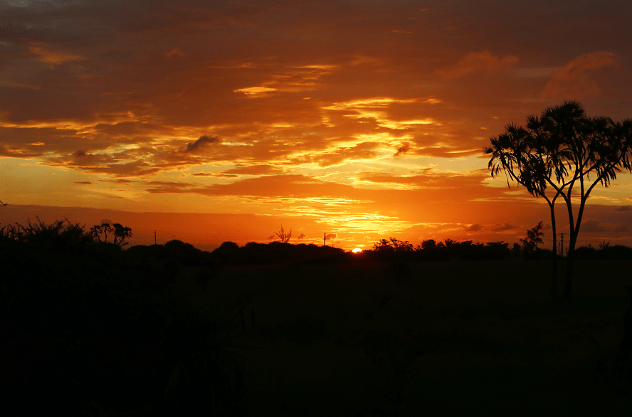 lydonlife-blog-nguuni